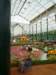 blumenshowimlalbaghgaden4_small.jpg