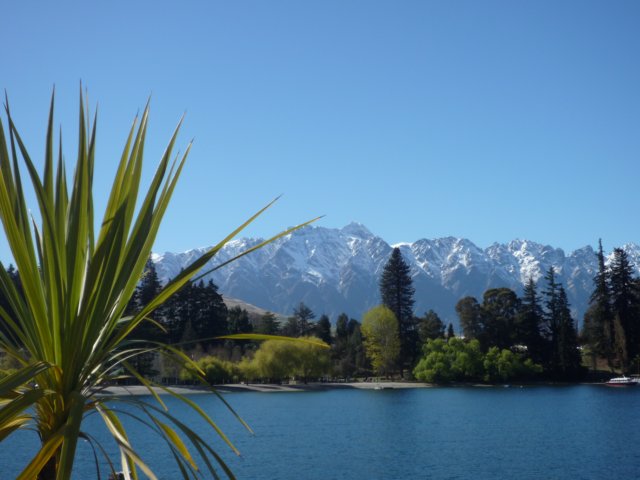 nz_0742.jpg